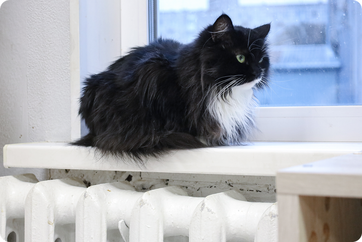 Устрашающие картинки, рост цен на маркетплейсах и новый развод от мошенников. Что нового к утру 9 февраля